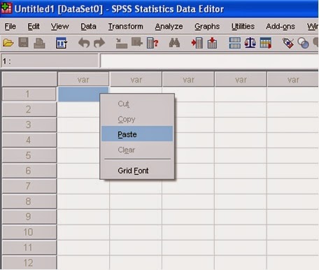 Spss portable 17